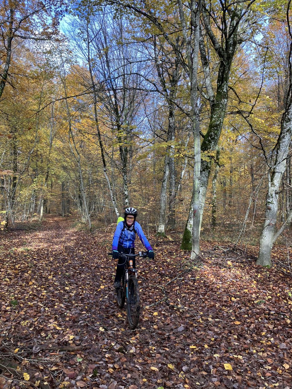 2022 11 20 10 54 03 VTTgr2